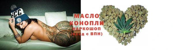 дмт Каменка