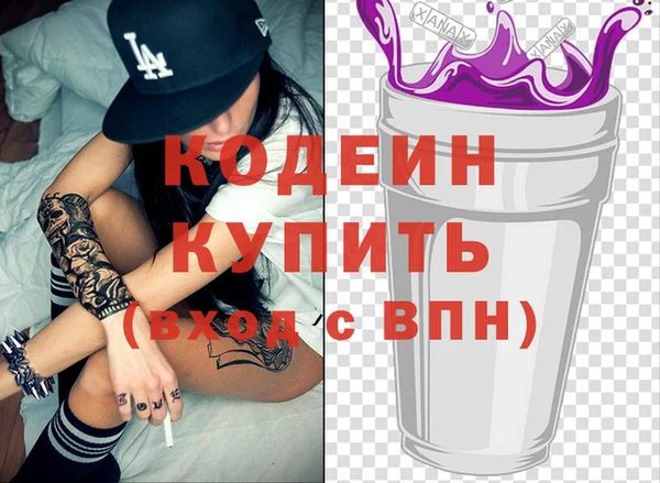 дмт Каменка
