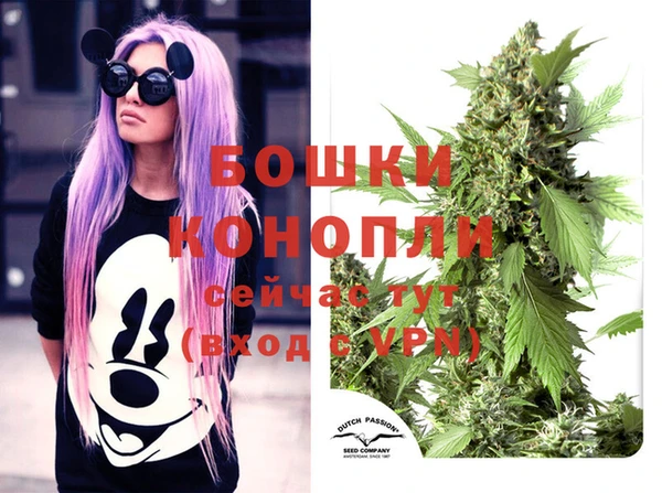 дмт Каменка