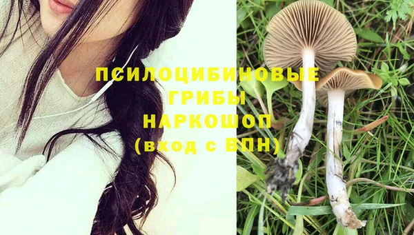 соль ск Киреевск