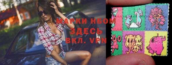 дмт Каменка