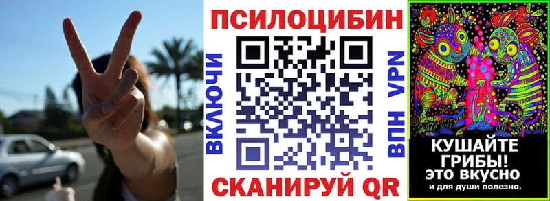 Купить закладки  Завитинск  Галлюциногенные грибы прущие грибы 